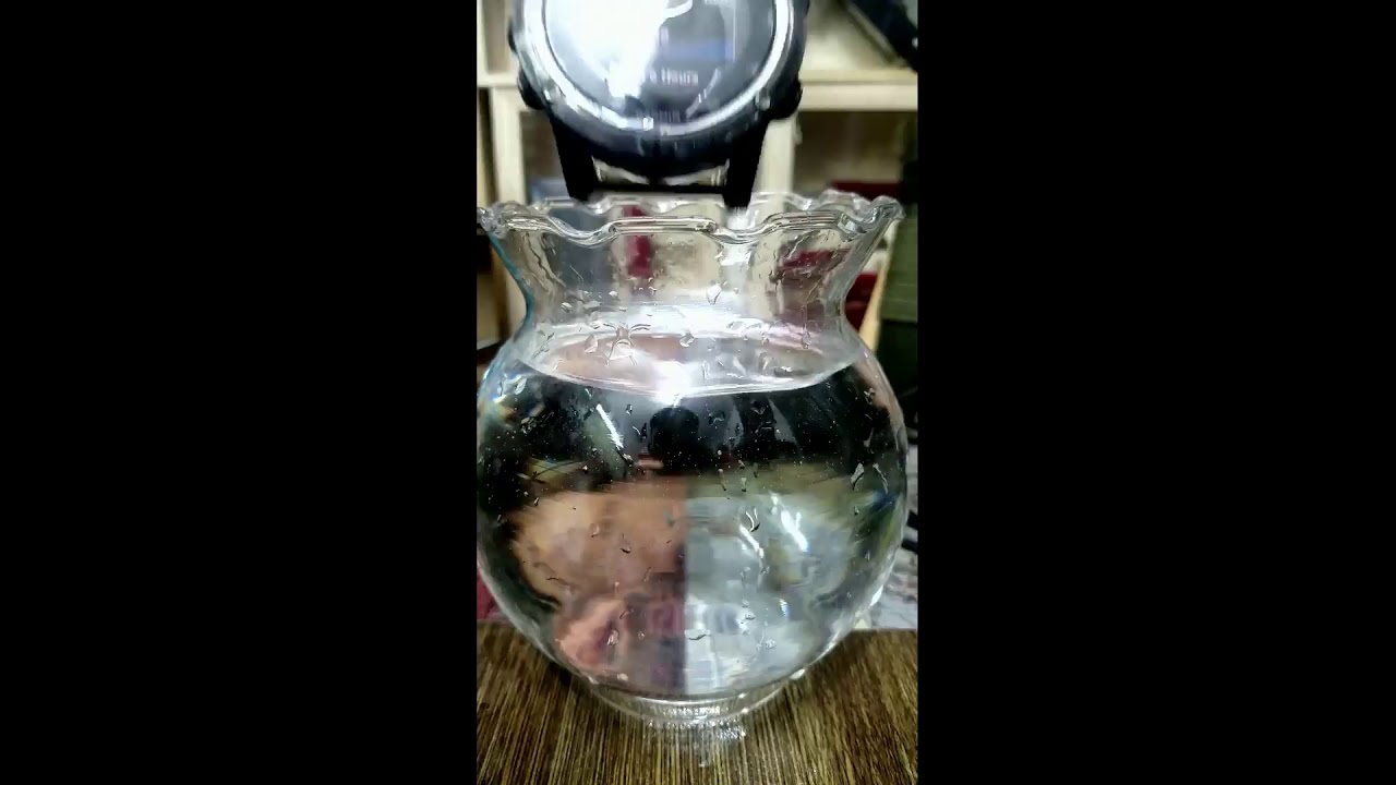 Garminbarometer test review YouTube