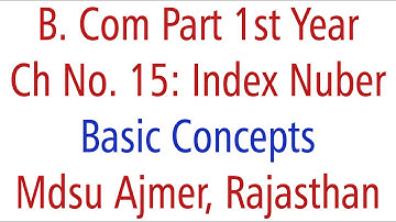 Statistics Basic Concept. Ch 15 Index Number MDSU Ajmer B. Com Part 1st Year