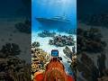 GoPro on a Redfish Discovers a Sunken Megayacht Off Jamaica