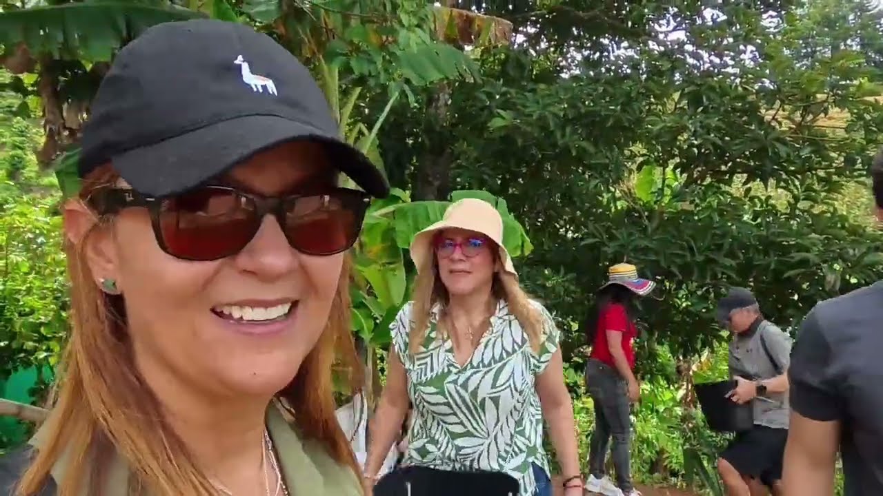 Visite una finca cafetera en Medellín:del grano a la taza de café más increíble