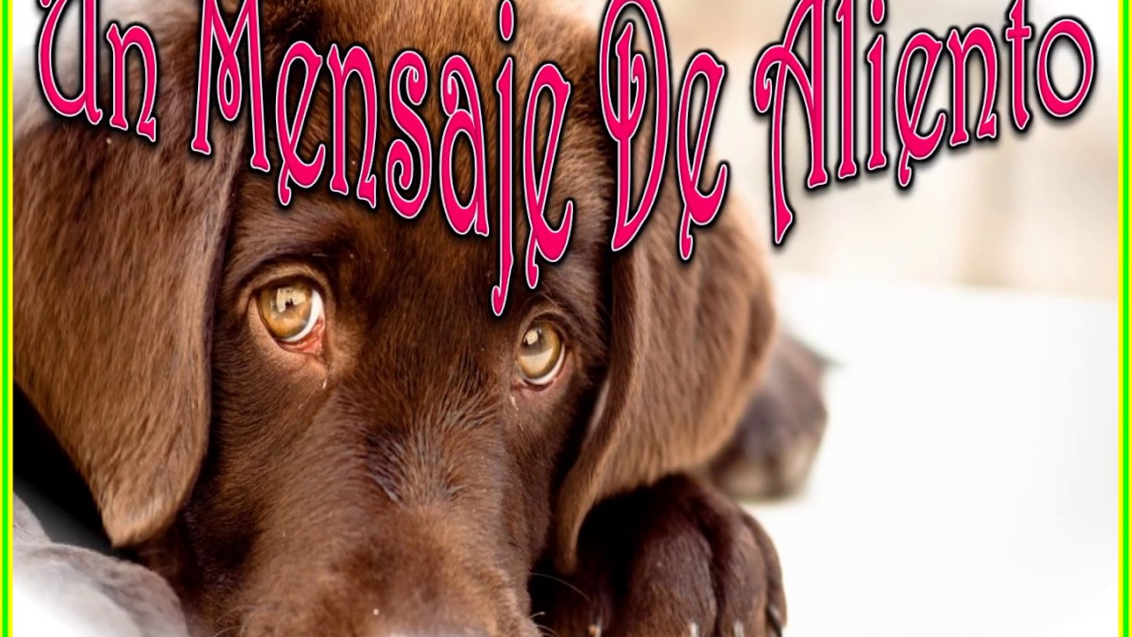 Un Mensaje De Aliento - YouTube