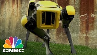 Boston Dynamics Spotmini Robot Has A New Trick It Can Now Open Doors Cnbc