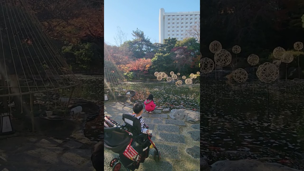 It's a PONDerful day.❤️ 