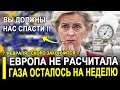 Европейцы на ИСТЕРИКЕ! ЭТО КОНЕЦ? Германия, Франция, Нидерланды остались БЕЗ ГАЗА!