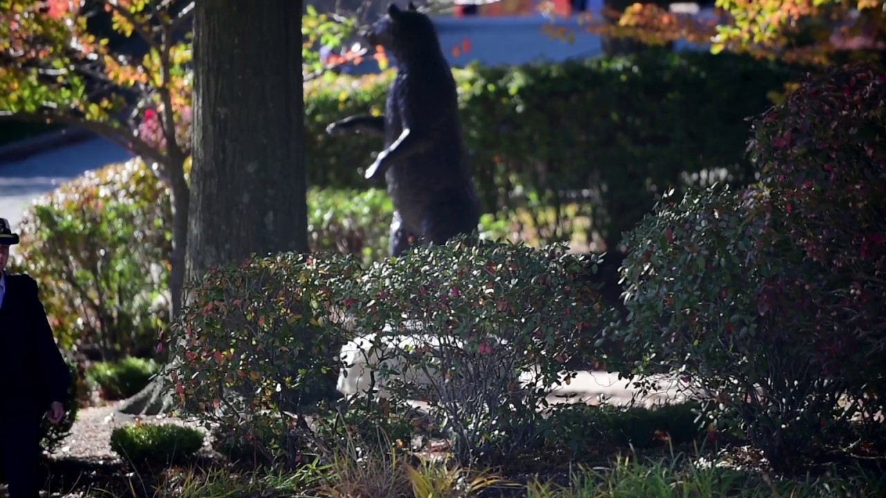 Coast Guard Academy Region Video