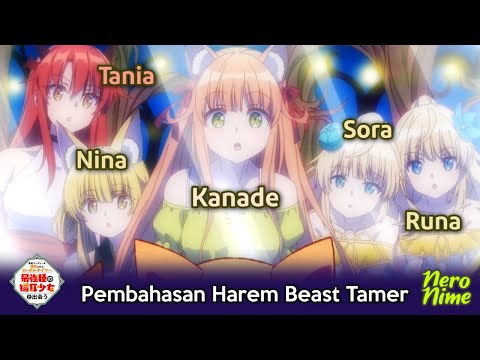 Bahas Harem Baru Michio dan Kemungkinan Season Lanjutan