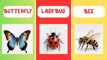 Guess the Insect! 🦋🤩 | Bugs & Insects Quiz 🐝🐞 | Fun for Kids 🌼🌈