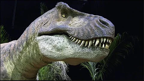 ¿Qué animal está emparentado con el T Rex?