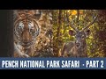Pench National Park Safari (Part - 2),  Khursapar Gate, "Meri Pyaari Bindu (T15 MH)" Longest Walk