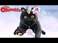 Mr. Osomatsu 3rd Season - Ending | Max Charm Faces!