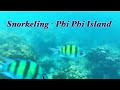 Phi phi island 2019 thailand vlog day 6