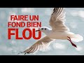 5 astuces pour faire un beau flou d'arrière-plan (bokeh)