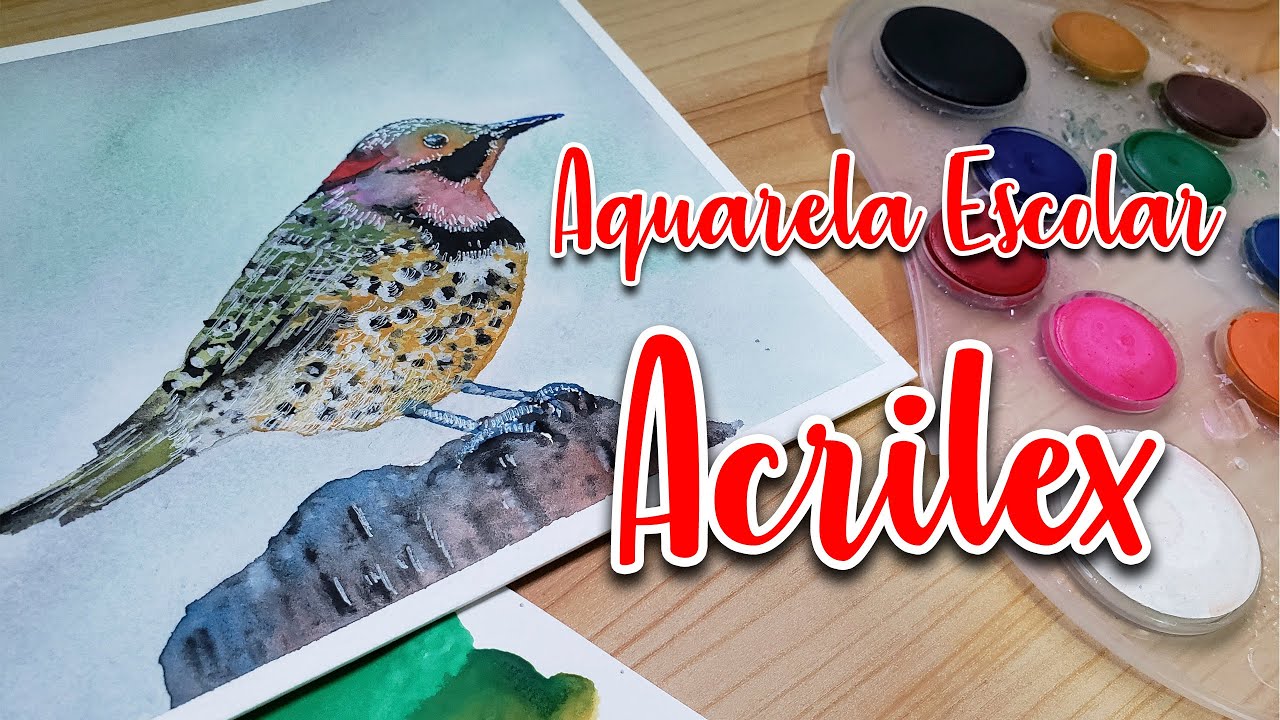 Aquarela Escolar Acrilex Resenha Youtube