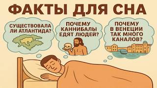 Факты, под которые ты уснешь за 5 минут