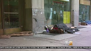 NYC Homeless Count