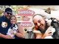 Puppy Vlog I Getting our Siberian Husky!