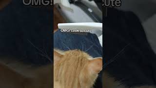 This Tool Help To Clean Your Pet And Make Your Cat Feel Happy Like In Bio