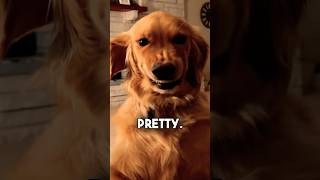 Our Dog Wouldn't Stop Smiling 😂❤️