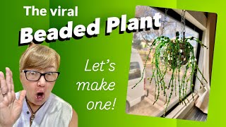 Lets make the viral Beaded Plant