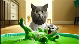 Kittens have mucus in their diapers #cat #cutecat #aicats #funny #catmemes by Barack G 722 views 12 days ago 1 minute, 43 seconds