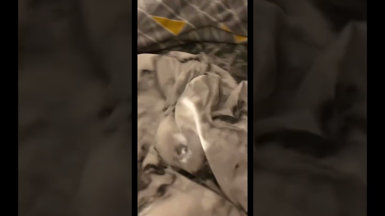 i LOST My Apple Pencil!? 😰 