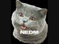 Nedm