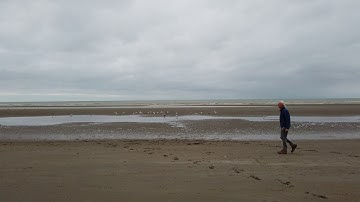 DE NOORDZEE