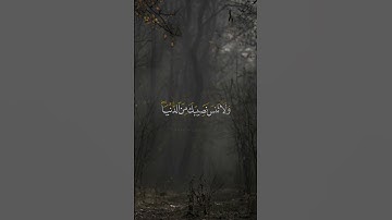 وَابْتَغِ فِيمَا آتَاكَ اللَّهُ الدَّارَ الْآخِرَةَ || القارئ عبدالبديع غيلان