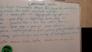 5Ərbaycan Dili.çoxmənalı Sözlər