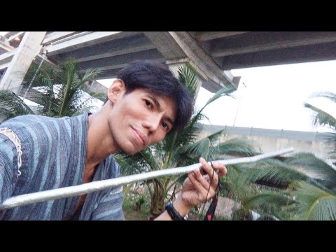 Ⓜ #4K #TONGKAT #KOKA #KAYU #iP? #THE #1ST #WORLD #51DORNET #GOYANG5GULTRA #SHAHDiOR #15JUNE2026 Ⓜ©®™