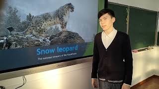 #edustreamzhuldyzdary Воробьев Тимур, район Алтай, с. Феклистовка