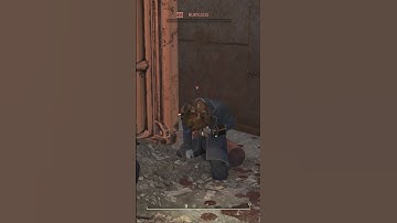 Fallout76 PvP! I bet he was confused for a moment! #pvp #gaming #fallout #xbox #fallout76