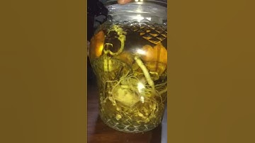 Cá Ngựa Tươi - Xuancabien