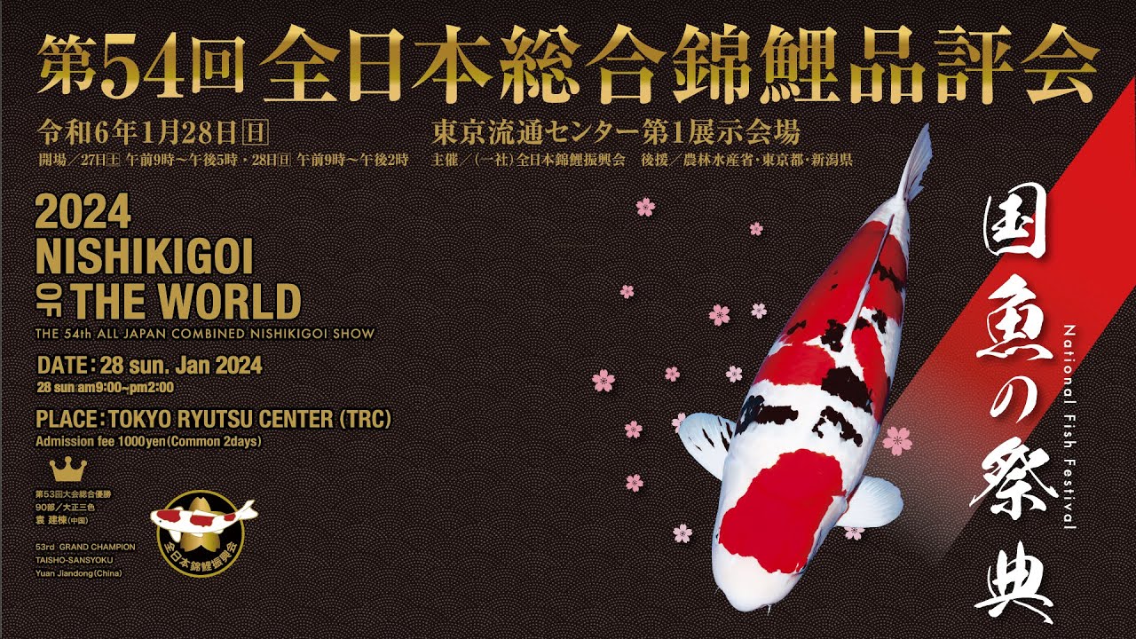 全日本錦鯉振興会 × DMM】 泳ぐ芸術品、日本の国魚「錦鯉」の魅力を