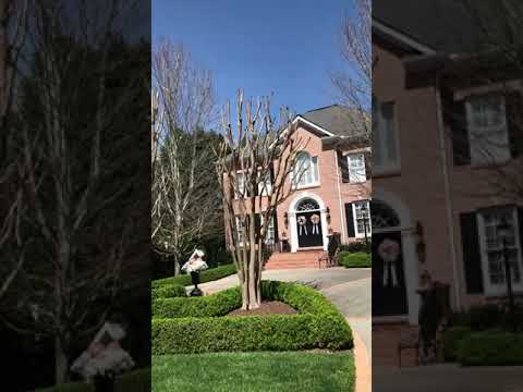 Video: Crêpe Myrtle Trees Snoeien - Tuinieren Know How