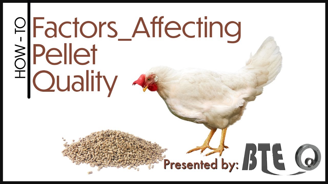 Factors Affecting Feed Pellet Quality and How-To Tips - YouTube