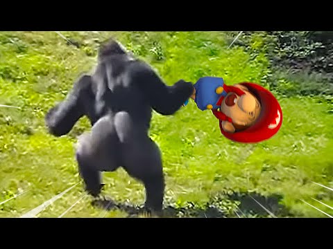 Donkey Kong vs Baby Mario