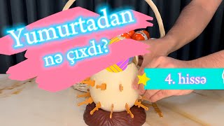 Yumurtadan nə çıxdı? 4.hissə (oyuncaq yumurta açma) какая игрушка вышла из яйца часть 4