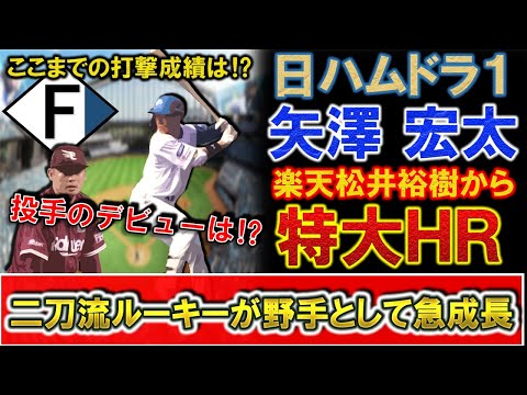 日本ハムドラフト１位ルーキー『矢澤宏太』が春季キャンプ練習試合で楽天『松井裕樹』から特大ＨＲを放ち、二刀流ルーキーが打者として急成長！ここまでの打撃成績＆『投手矢澤』のデビュー日を解説！