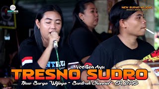 Download Mp3 TRESNO SUDRO GEA AYU NEW SURYO WIJOYO LAGU JANDUT TERBARU 2022 Gudang lagu Download Mp3 TRESNO SUDRO GEA AYU NEW SURYO WIJOYO LAGU JANDUT TERBARU 2022