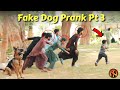 Funny Dog Bark - Funny Reactions - New Talent 2021