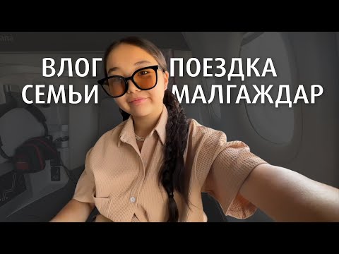 Аминка-Витаминка летит на море