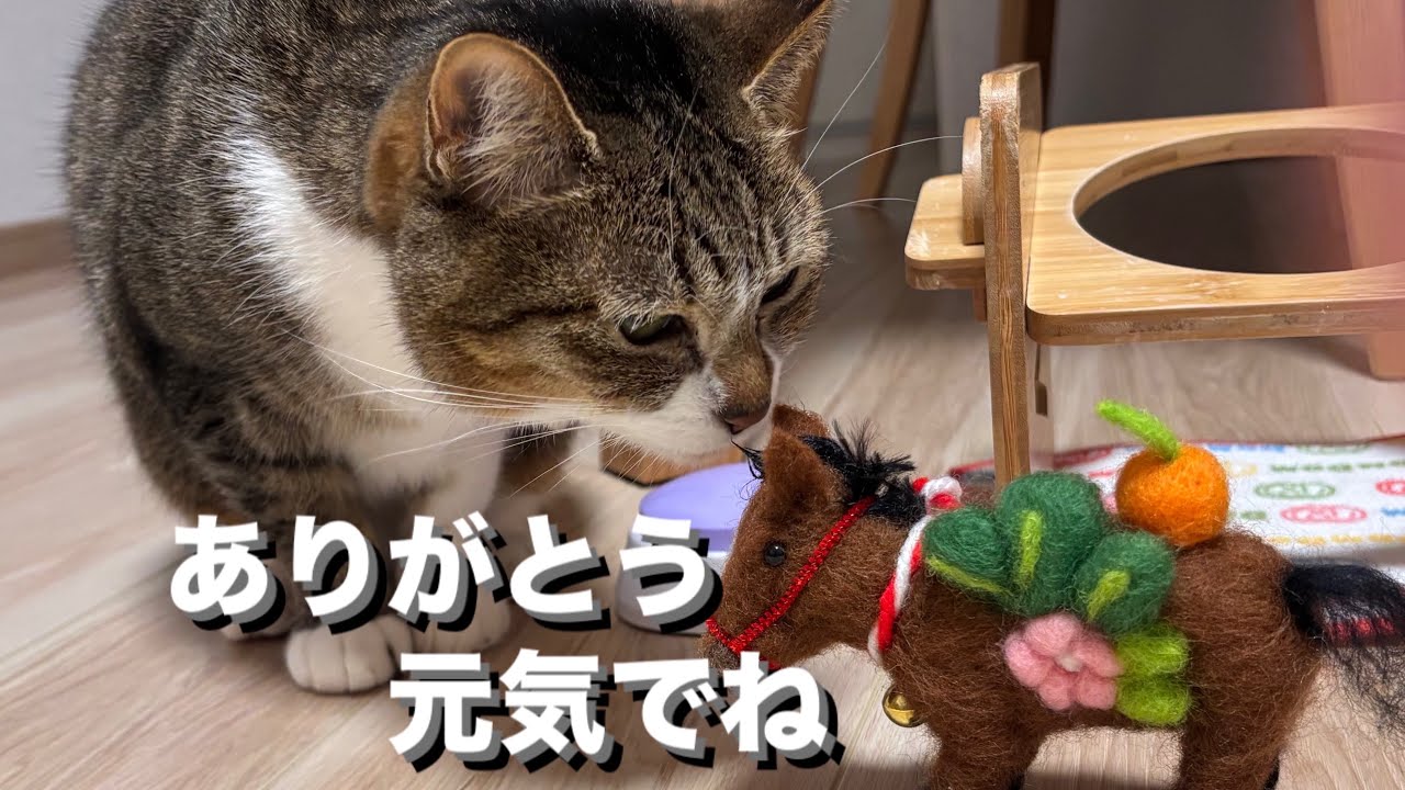 その日は突然やってきました