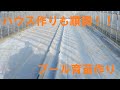 水稲ハウスのプール育苗を作っていく　ビニペットのメリットデメリット