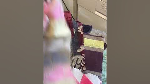 Easy way to remove adhesive labels from fabric samples