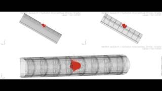 Leading Edge Bird Strike Simulation