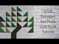 0710 Delaware Sea Pines Free Quilt Block Tutorial | Block of the Day 2023 | AccuQuilt | Carol Thelen