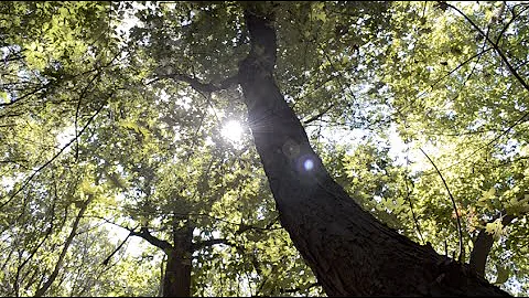 Neil Becker's Showreel 2016