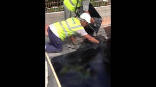 RJ EVANS FLAT ROOFING