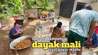 Kekompakan ibu-ibu dayak saat menyambut gawai nikah 